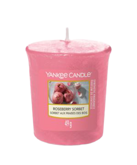 Roseberry Sorbet - Votive