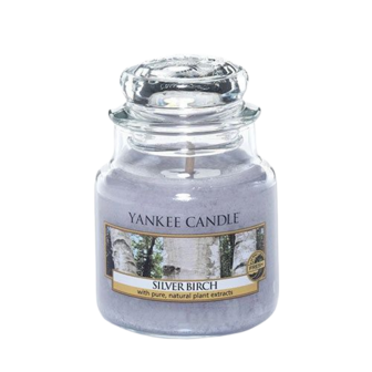 Silver Birch - Small Jar