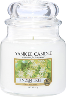 Linden Tree - Medium Jar